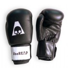 Boxing 12